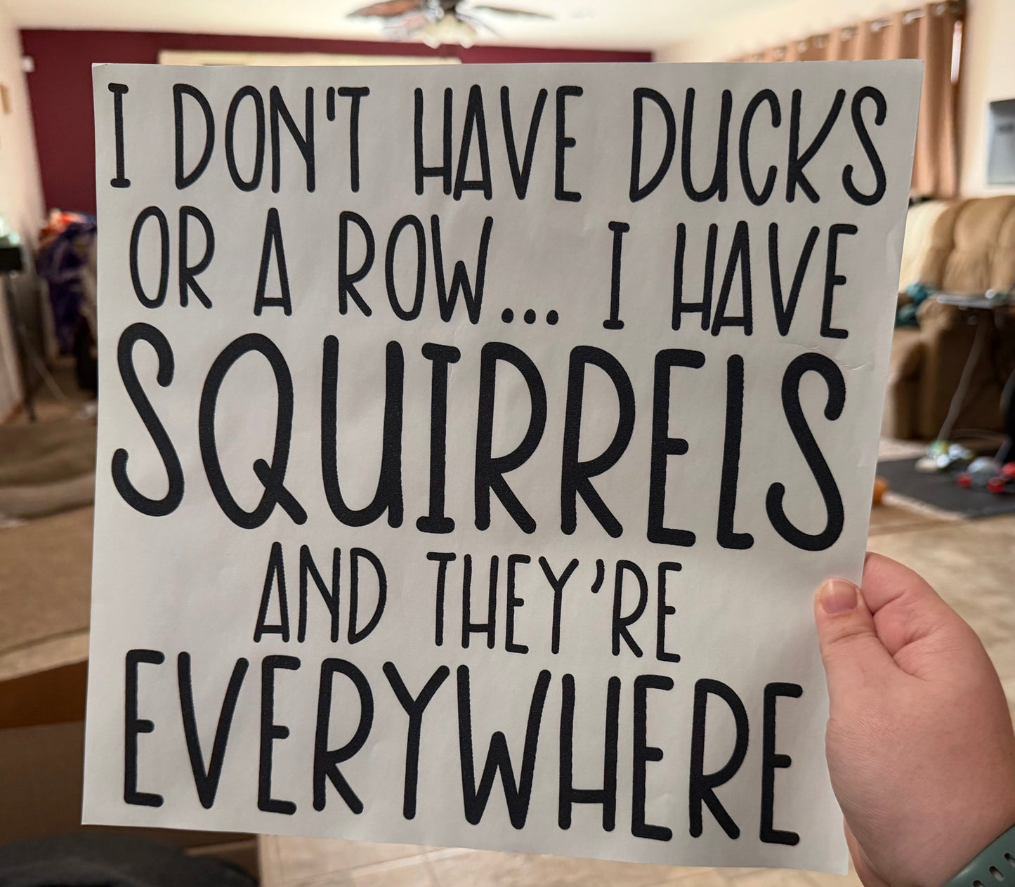 #16 I Don’t Have Ducks