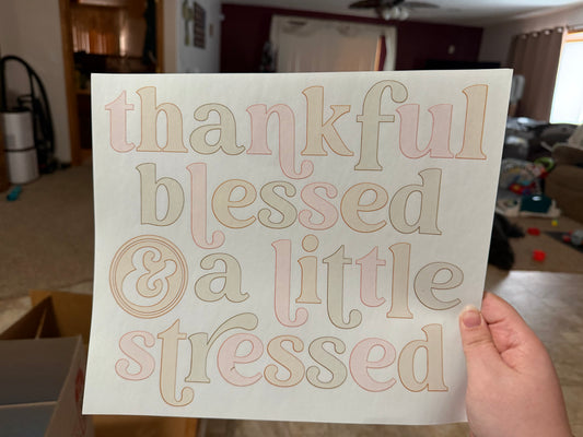 #28 Thankful, blessed, stressed